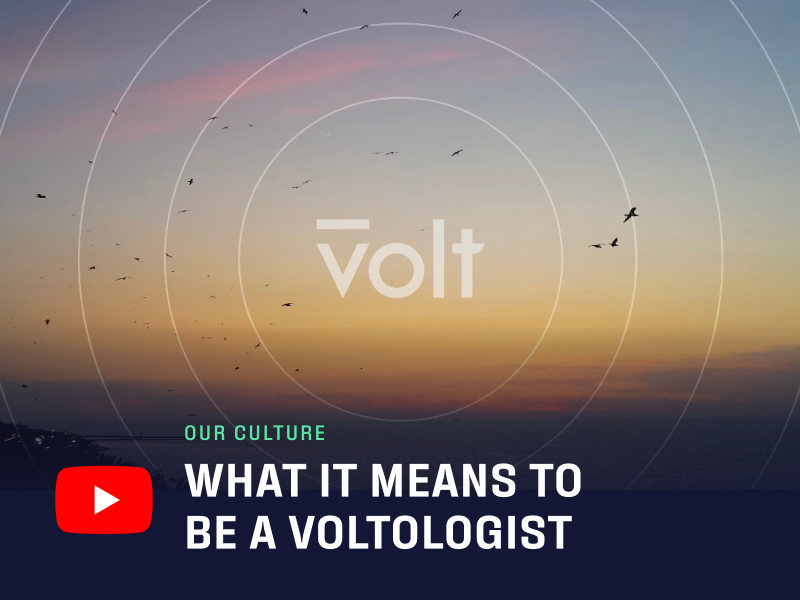 What it means to be a Voltologist